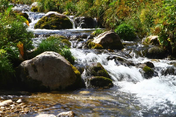 Rio Montanha Água Nascente Riacho Pedregoso Bonito Norte Cáucaso Montanha — Fotografia de Stock
