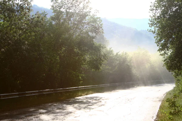 road in mountains after the rain, photo of nature