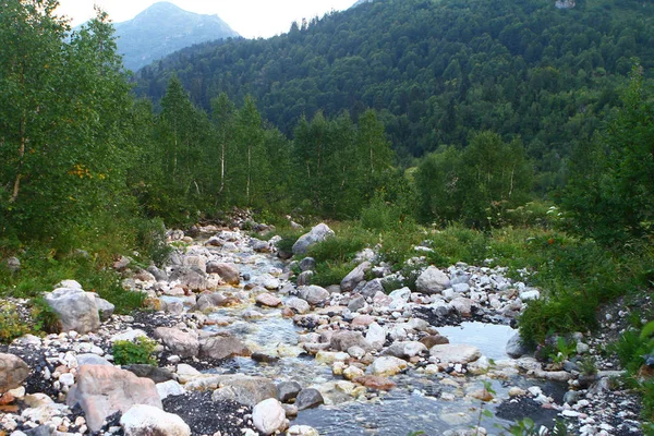 Jarní Vodě Horské Řeky Roztomilý Stony Creek Severním Kavkazu Horské — Stock fotografie