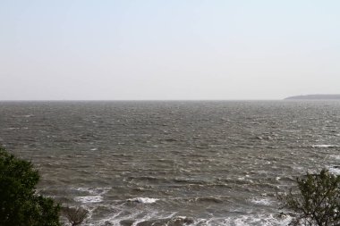 deniz plaj - vahşi plaj orman, Doğa fotoğrafı