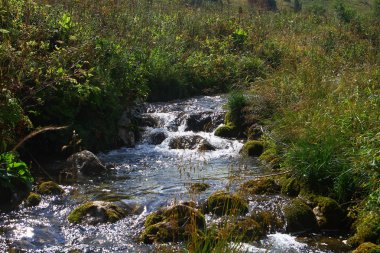 Bahar su dağ nehir ve Kuzey Kafkasya üzerinde şirin stony creek. dağ doğal peyzaj fotoğraf