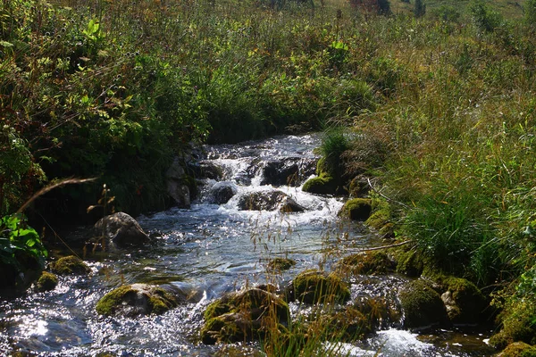 Jarní Vodě Horské Řeky Roztomilý Stony Creek Severním Kavkazu Horské — Stock fotografie