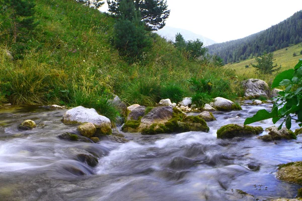 山泉水山河和北高加索的尼斯岩小河 山自然风景相片 — 图库照片