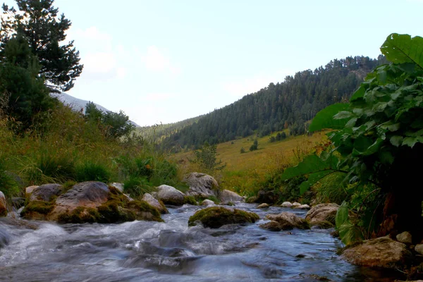 Spring water mountain river and the fantastic petrous creek on North Caucasus. mountain natural landscape photo