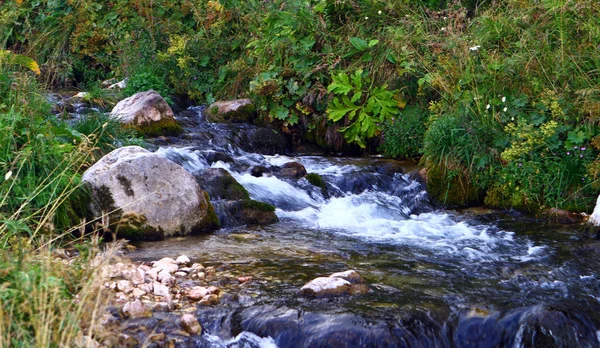 Rio Montanha Água Nascente Riacho Rochoso Agradável Norte Cáucaso Montanha — Fotografia de Stock