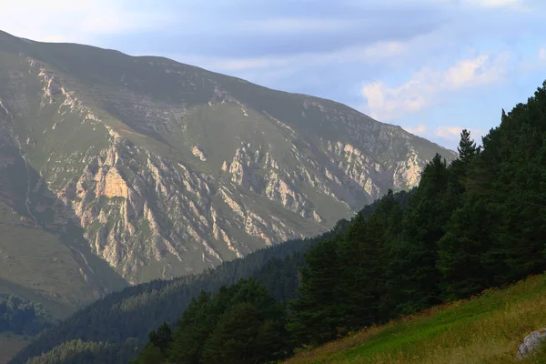 Alberi Foresta Sulla Scogliera Montagna Bella Foto Della Natura — Foto Stock