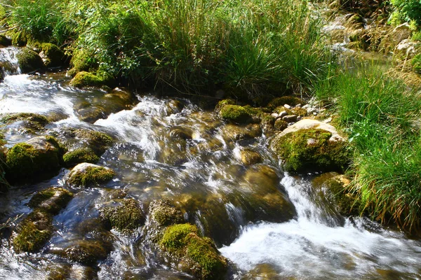 Foto Natureza Rio Montanha Água Nascente Belo Riacho Rochoso Norte — Fotografia de Stock