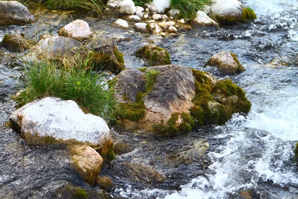 Rio Montanha Água Nascente Maravilhoso Riacho Rochoso Norte Cáucaso Montanha — Fotografia de Stock
