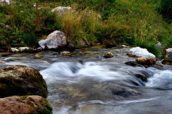 Acqua Sorgente Fiume Montagna Bel Torrente Roccioso Sul Caucaso Settentrionale — Foto Stock