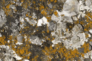 güzel turuncu vintage eski mantar taş doku - soyut fotoğraf arka plan