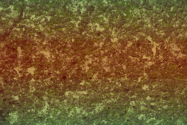 Merveilleux Vert Grunge Champignon Shabby Sur Texture Rocher Fond Photo — Photo