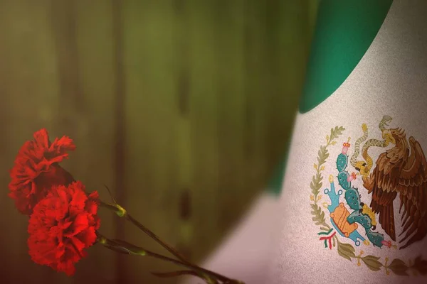 Mexikanische Flagge Mit Zwei Roten Nelkenblumen Ehren Der Veteranen Oder — Stockfoto