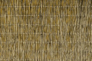 Harika turuncu yaratıcı kamışı çit doku - soyut fotoğraf arka plan