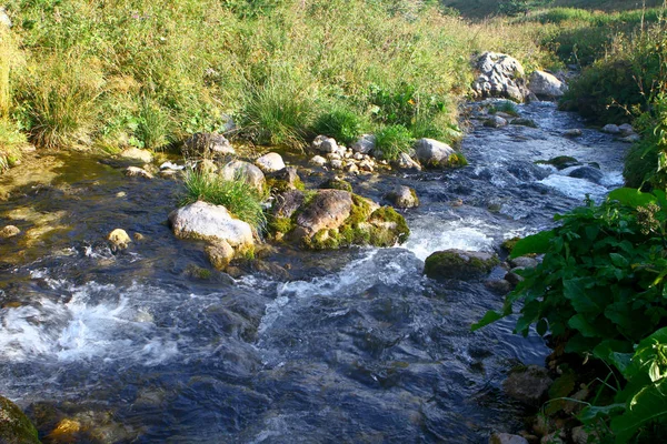 Ποτάμι Βουνό Νερού Την Άνοιξη Και Τον Ωραίο Βραχώδη Κολπίσκο — Φωτογραφία Αρχείου