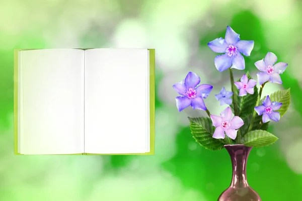 Beautiful live clematis bouquet bouquet in ceramic vase on sunny day with notepad with place for your text on nature leaves and branches bokeh background.