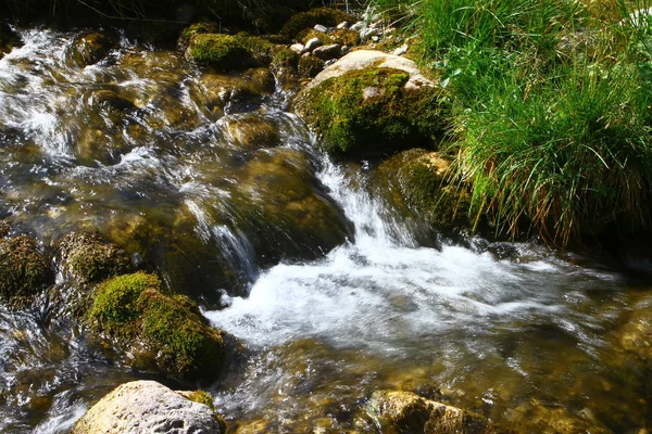 Photo Nature Spring Water Mountain River Shot Long Exposure Nice — Stock Photo, Image