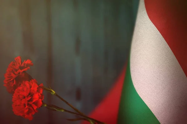 Magyarország Zászlaja Két Piros Szegfű Tiszteletére Veteránok Vagy Emléknap Világos — Stock Fotó