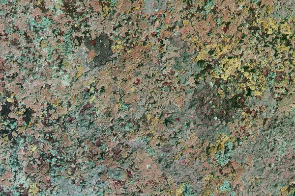 Fantastic Grunge Weathered Lichen Stone Texture Abstract Photo Background — Stock Photo, Image