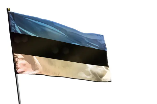白い背景に分離されたエストニアの旗をなびかせ — ストック写真