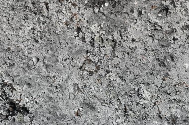 güzel bir tasarım kaba yosun kale duvarı doku - soyut fotoğraf arka plan