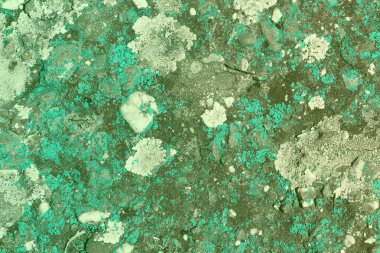 harika ışık mavi eski yıpranmış liken taş doku - soyut fotoğraf arka plan