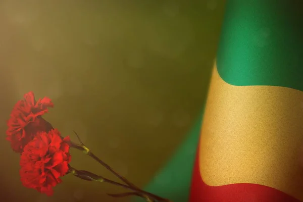 退役軍人やライム ダーク ベルベット背景に記念日の名誉のため つの赤いカーネーションの花とコンゴの旗 コンゴ戦争概念の英雄に栄光 — ストック写真