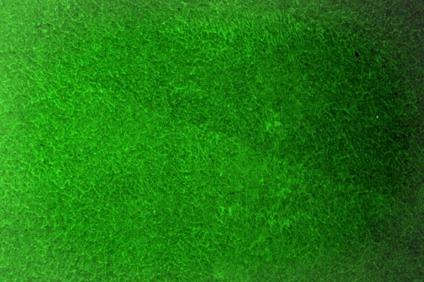 Beautiful Green Loft Bright Primer Drywall Block Texture Abstract Photo — Stock Photo, Image