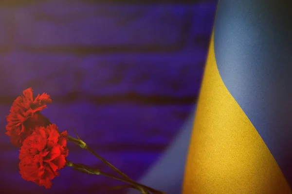 Két Piros Szegfű Tiszteletére Veteránok Vagy Emléknap Kék Zászló Ukrajna — Stock Fotó