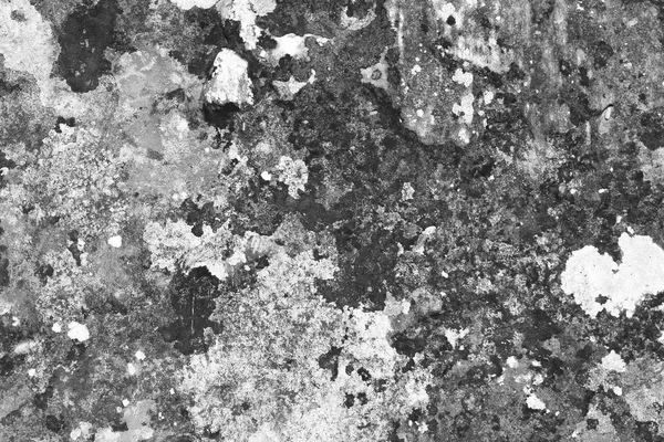 Beautiful Design Grunge Lichen Castle Wall Texture Abstract Photo Background — Stock Photo, Image