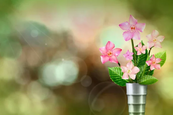 Beautiful live clematis bouquet bouquet in modern metal vase on sunny day with empty space for your content on natural leaves and sky blurred bokeh background.