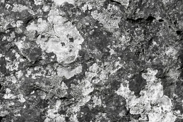 Maravilloso Diseño Viejo Musgoso Piedra Textura Abstracta Foto Fondo — Foto de Stock