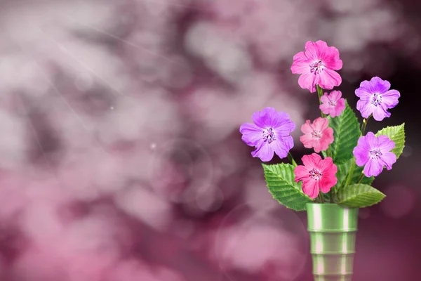 Beautiful live petunia bouquet bouquet in modern metal vase on sunny day with empty space for your content on park trees and sky blurred background.