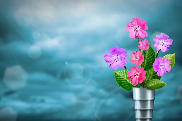 Beautiful live petunia bouquet bouquet in modern metal vase on sunny day with empty space for your content on colored sky with clouds background.
