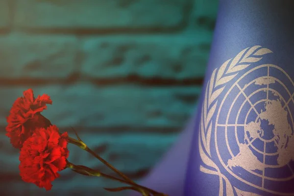 Bandera Las Naciones Unidas Con Dos Flores Clavel Rojo Para — Foto de Stock