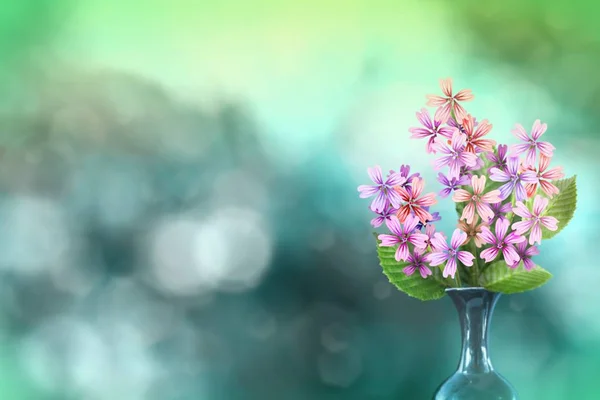 Beautiful live malva or mallow bouquet bouquet in ceramic vase on sunny day with empty space for your content on natural leaves and sky blurred bokeh background.