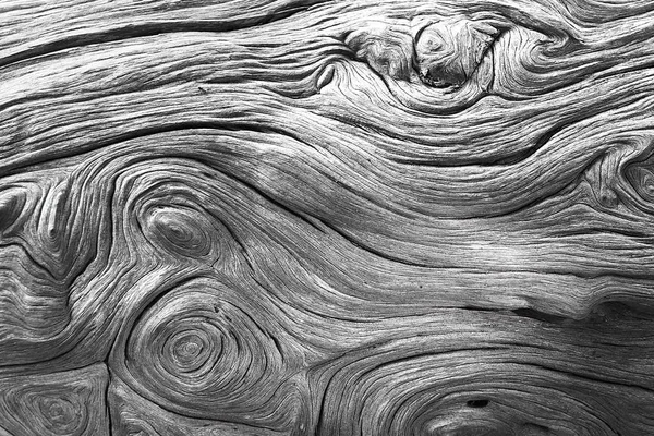 Mooie Natuurlijke Pine Texture Abstracte Fotoachtergrond — Stockfoto