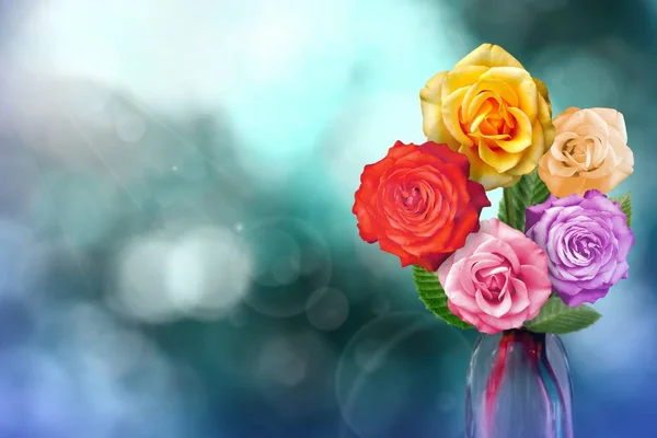 Beautiful live rose bouquet bouquet in glass vase with blank place for your text on left on natural leaves and sky blurred bokeh background.