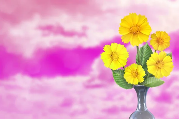 Beautiful live coreopsis bouquet bouquet in ceramic vase with blank place for your text on left on sunny day sky with clouds background.