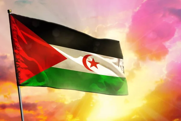 Ondeando la bandera del Sáhara Occidental sobre un hermoso y colorido fondo al atardecer o al amanecer. Concepto de éxito . — Foto de Stock
