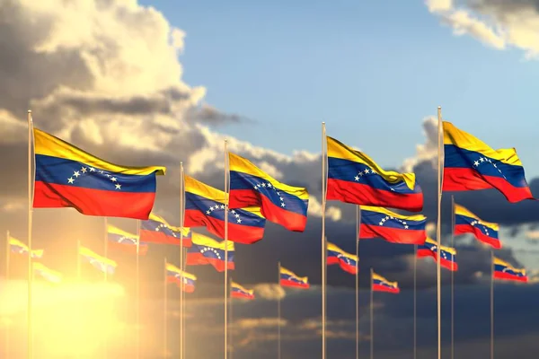 pretty many Venezuela flags on sunset placed in row with soft focus and space for content - any occasion flag 3d illustration