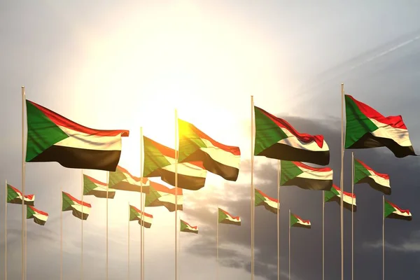 nice many Sudan flags in a row on sunset with empty space for your text - any feast flag 3d illustration