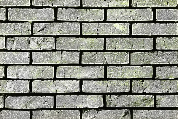 Lime design grungy brick wall texture - wonderful abstract photo background — Stock Photo, Image