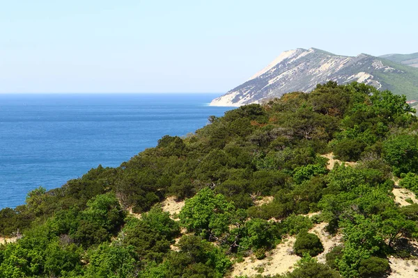 Berge mit Wald am Meeresufer in Krim Ameisensommer — Stockfoto