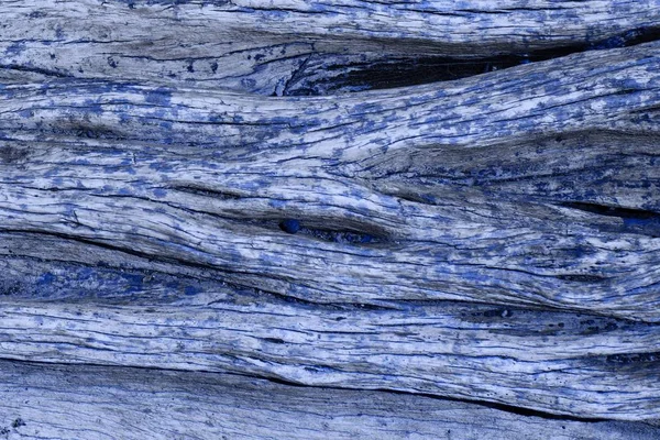 파란색 자연 바닥 텍스처 - 귀여운 추상 사진 배경 — 스톡 사진