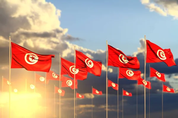 Υπέροχη πολλές σημαίες της Τυνησίας στο ηλιοβασίλεμα τοποθετούνται στη σειρά με bokeh και τόπο για κείμενο - κάθε ευκαιρία σημαία 3d εικόνα — Φωτογραφία Αρχείου