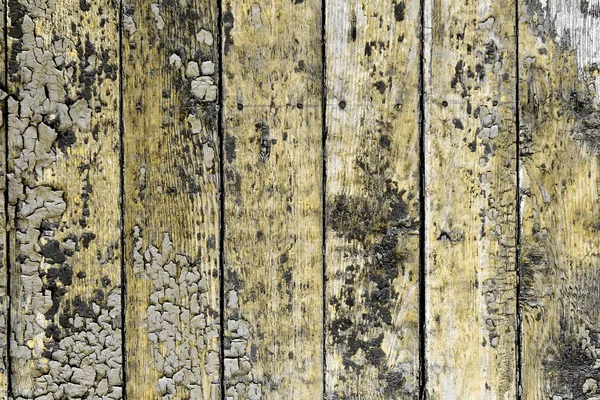 Textura de madera natural naranja - fondo de foto bastante abstracto — Foto de Stock