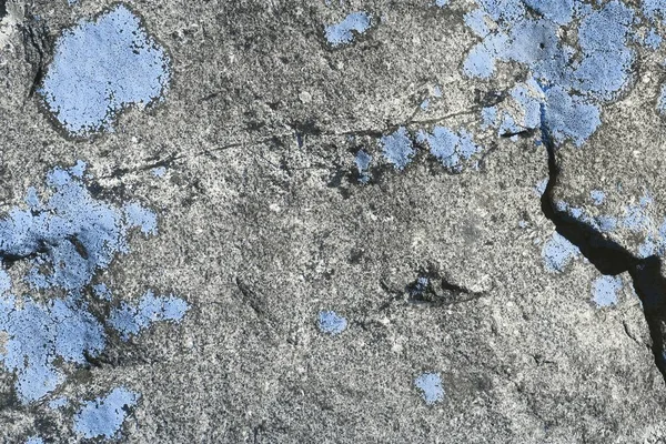 Синий винтажный грязный мох на каменной текстуре - хороший абстрактный фотофон — стоковое фото