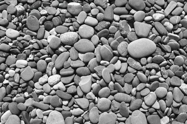 Droge zee Shore Stones textuur-mooie abstracte foto achtergrond — Stockfoto