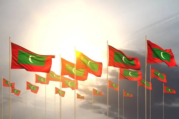 Довольно много флагов Мальдив подряд на закате с бесплатным местом для текста - любая иллюстрация флага празднования 3d — стоковое фото