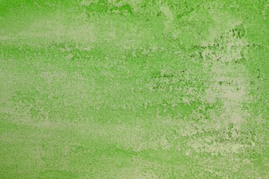 herhangi bir amaç için güzel eski yeşil dekoratif alçı doku.